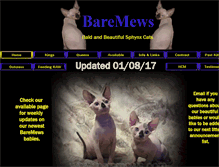 Tablet Screenshot of baremews.com